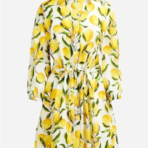 J. Crew Limoncello Print Shirt Dress - Picture 3 of 8